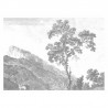 WP-322 Wall Mural Engraved Landscapes