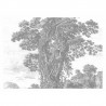 WP-323 Wall Mural Engraved Landscapes