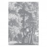 WP-617 Wall Mural Engraved Landscapes