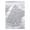 WP-622 Wall Mural Engraved Landscapes