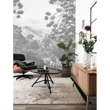 WP-618 Wall Mural gravado...