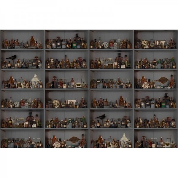 Papel de parede R14184 Cabinet of Curios, Night - REBEL WALLS