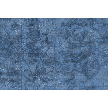 Papier peint R16921 Star Map - REBEL WALLS