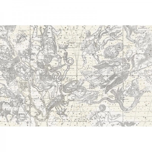 Papier peint R16922 Star Map, White - REBEL WALLS