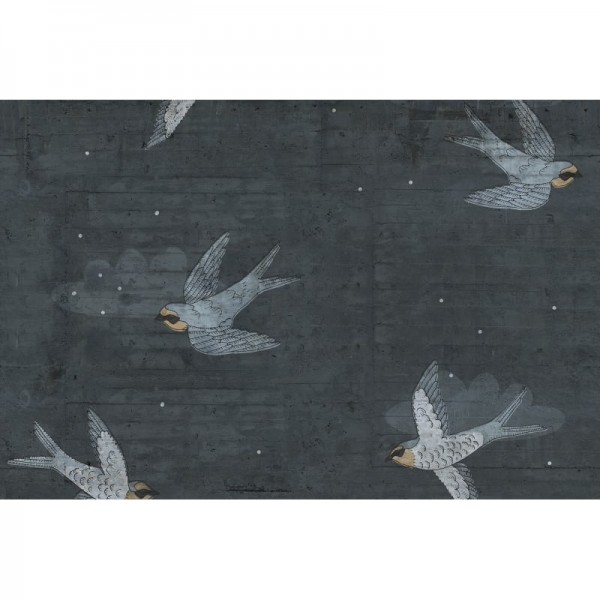 Wallpaper R16972 Concrete Art, Night Swallow - REBEL WALLS