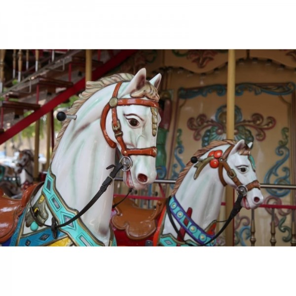 Papel de parede R11881 Carousel - REBEL WALLS