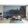 Wallpaper R16421 Forest Lake - REBEL WALLS