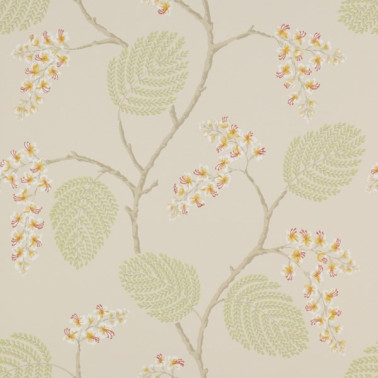 Papel Pintado CFW7141-05 ATWOOD - COLEFAX AND FOWLER