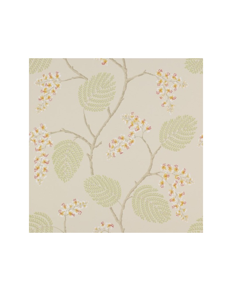 Papel Pintado CFW7141-05 ATWOOD - COLEFAX AND FOWLER