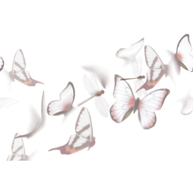 Wallpaper FLUTTERBY GL6091A - GLAMORA