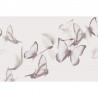 Papel Pintado FLUTTERBY GL6092A - GLAMORA