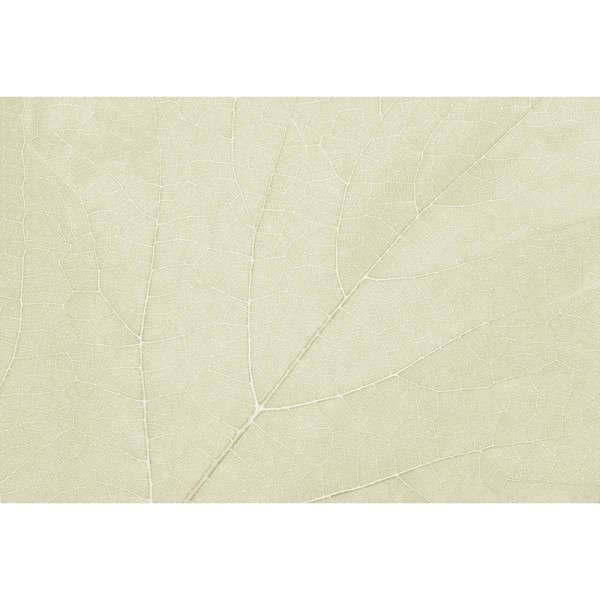 Papel Pintado FOUR SEASONS GL2033B - GLAMORA