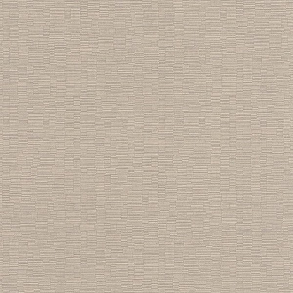 Delicacy Wild Beige Gris 85371257