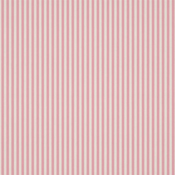 Carnival Stripe HLTF133539