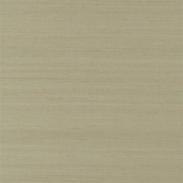 Chinon Birch PDG1119-12