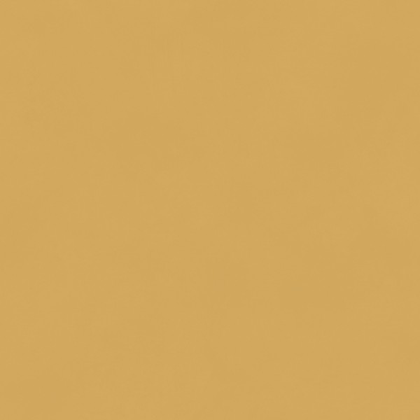 Color Gold BLONE101111