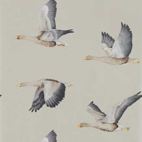 Elysian Geese DYSI216611