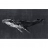 Humpback Whale Night 9500102 - Mural