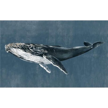 Humpback Whale Vintage 9500101