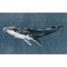 Humpback Whale Vintage 9500101 - Mural