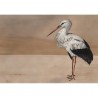 Stork Mother Nude 9500301 - Mural