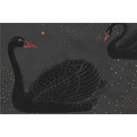 Cygne Noir R17121