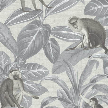 Indian Monkey Dusk Grey DYW0007