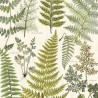 Herbarium vert 309017