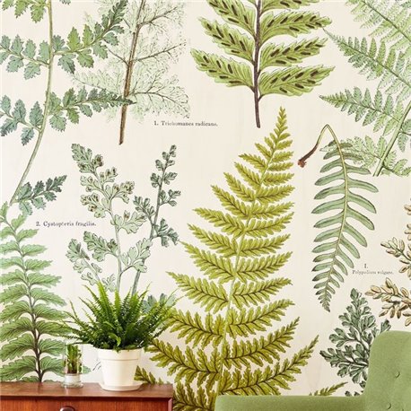 Herbarium Green 309017