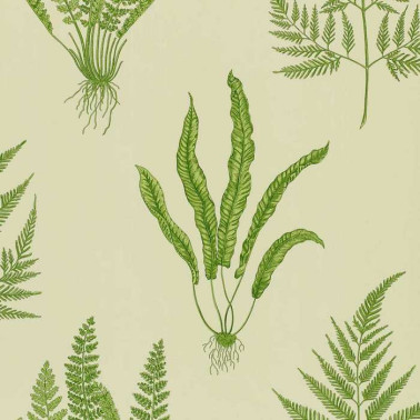 Woodland Ferns DAPGWO102