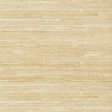 Natural Wallcoverings III 303535.jpeg