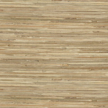 Natural Wallcoverings III 303553.jpeg