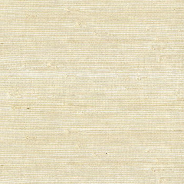 Natural Wallcoverings III 303554.jpeg