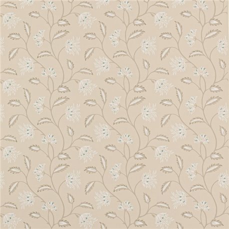 Oterlie Beige W7012-01