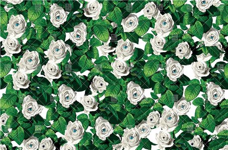 Wallpaper EYES & ROSES 11TP-02 - LONDON ART