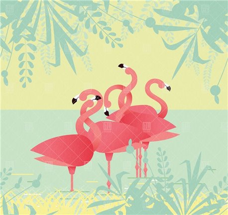 Flamingos 17101-1