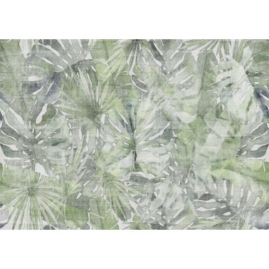 60889-2B-FONTANA FITZCARRALDO GREY-GREEN-FONDO