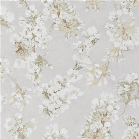 Fleur D Assam Pearl PDG1148-01