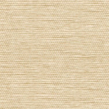 Le Papier Tisse Honey 60501A