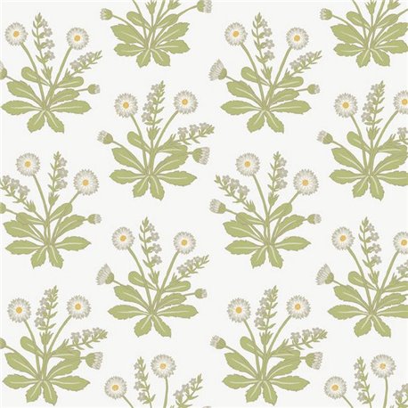 Meadow Flowers White AC9155