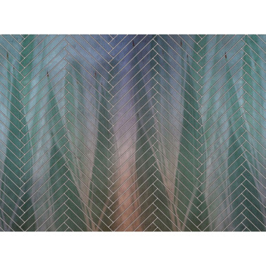 ALOE K021_07_02