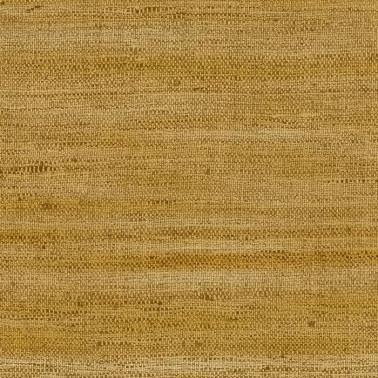 Lignes Ochre 40501A