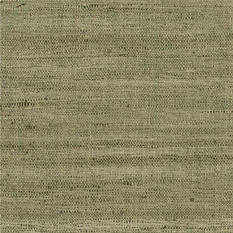 Lignes Olive 40505A