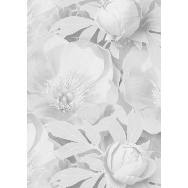 PEONY TEMPTRESS WHITE SUPERSIZED