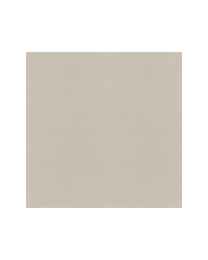 Papier peint PLAIN FAUST N. GA1 9093 - ARMANI CASA