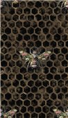 DARK HEX BOMBUS