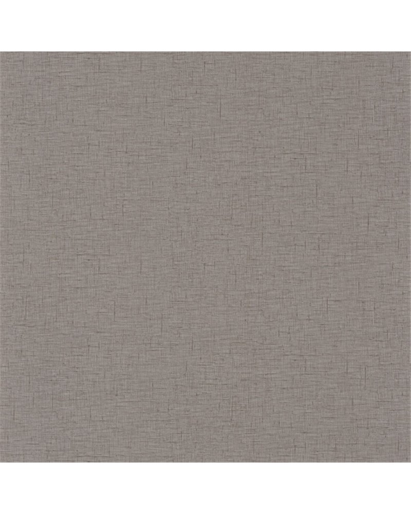 Uni Gaze Taupe Cendree 103761840