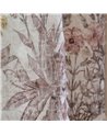 Herbaria F7772-02