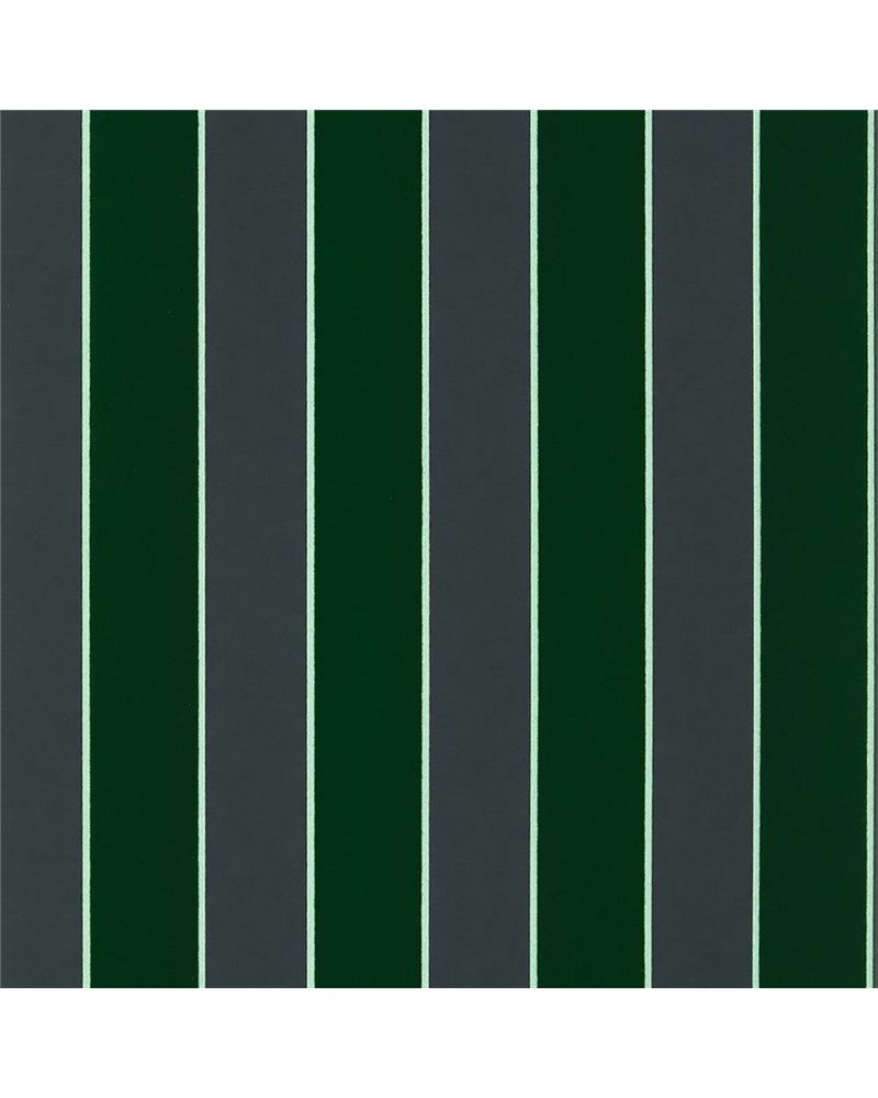 Regency Stripe W7780-01