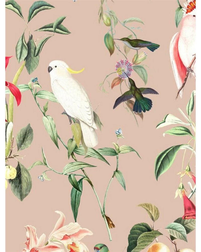 WALLPAPER - BIRDS OF PARADISE - PEACH BLUSH